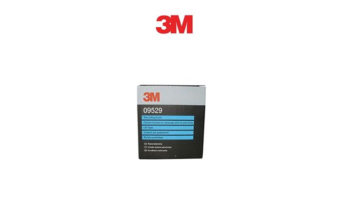 3M 09529 CORDOLO PER GUARNIZIONI 6mmx40m