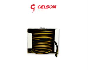 GELSON CORDOLO A T 25m