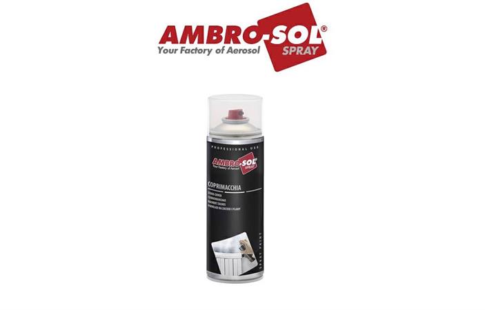 AMBRO-SOL SPRAY COPRIMACCHIA 500ml